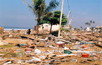 Durch einen Tsunami verwsteter Kstenabschnitt in Sri Lanka
